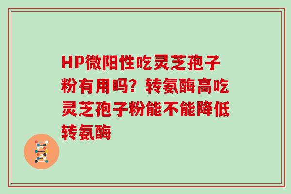 HP微阳性吃灵芝孢子粉有用吗？转氨酶高吃灵芝孢子粉能不能降低转氨酶