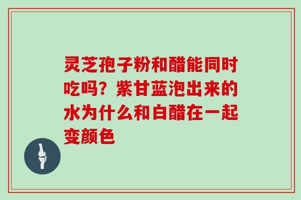 灵芝孢子粉和醋能同时吃吗？紫甘蓝泡出来的水为什么和白醋在一起变颜色