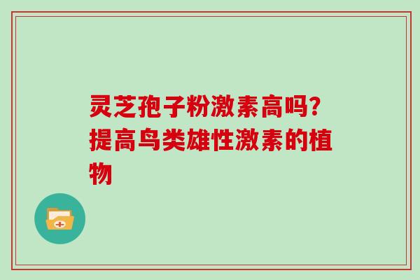灵芝孢子粉激素高吗?提高鸟类雄性激素的植物