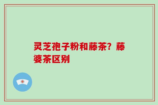 灵芝孢子粉和藤茶?藤婆茶区别