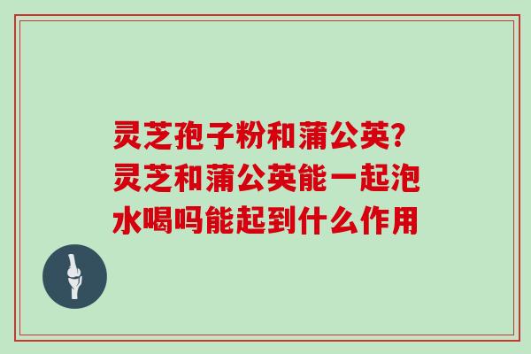 灵芝孢子粉和蒲公英?灵芝和蒲公英能一起泡水喝吗能起到什么作用
