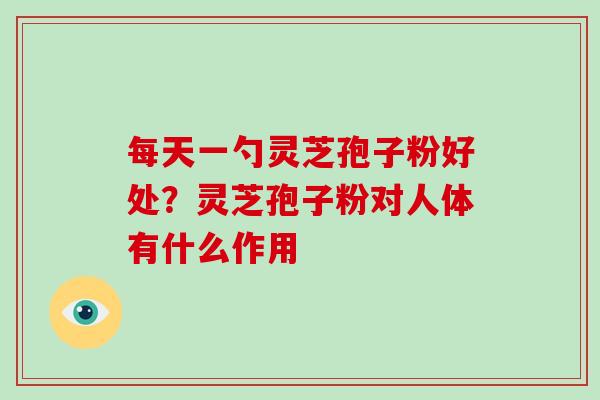 每天一勺灵芝孢子粉好处?灵芝孢子粉对人体有什么作用