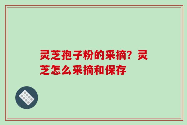 灵芝孢子粉的采摘?灵芝怎么采摘和保存