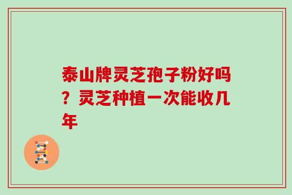 泰山牌灵芝孢子粉好吗？灵芝种植一次能收几年