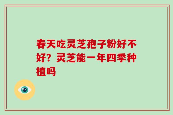 春天吃灵芝孢子粉好不好?灵芝能一年四季种植吗