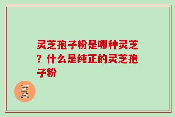 灵芝孢子粉是哪种灵芝？什么是纯正的灵芝孢子粉