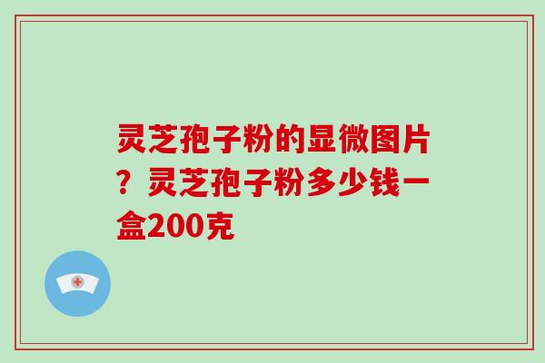 灵芝孢子粉的显微图片?灵芝孢子粉多少钱一盒200克
