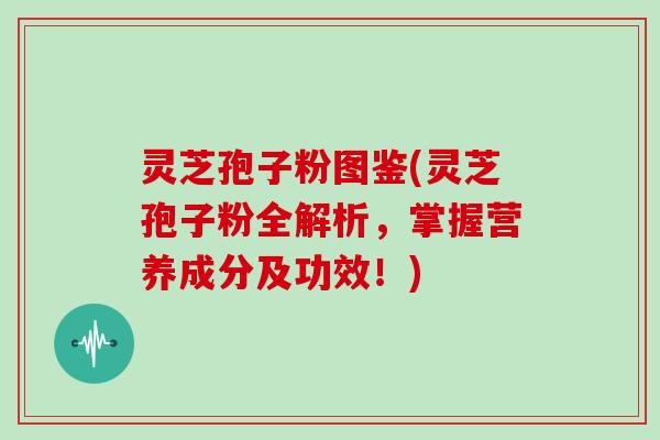 灵芝孢子粉图鉴(灵芝孢子粉全解析,掌握营养成分及功效!)