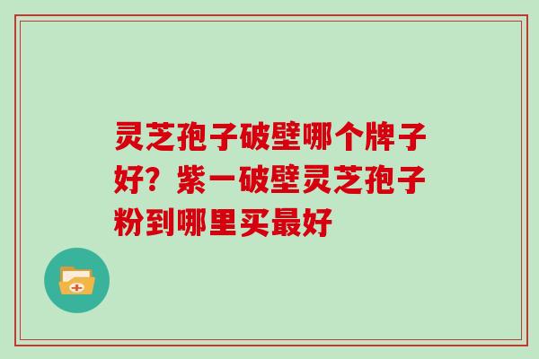 灵芝孢子破壁哪个牌子好?紫一破壁灵芝孢子粉到哪里买最好
