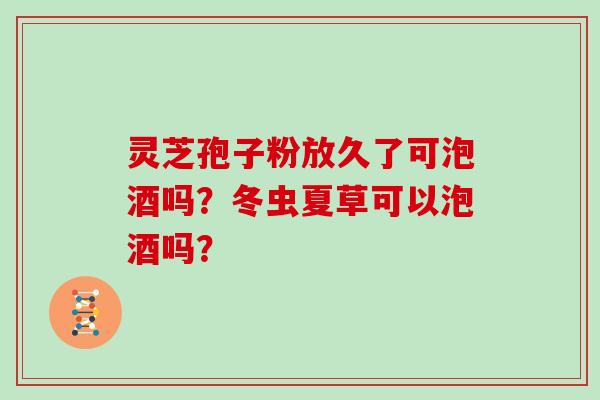 灵芝孢子粉放久了可泡酒吗？冬虫夏草可以泡酒吗？