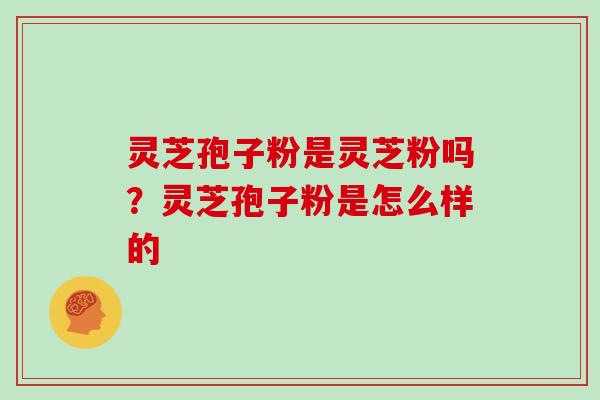 灵芝孢子粉是灵芝粉吗？灵芝孢子粉是怎么样的