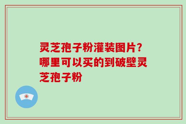 灵芝孢子粉灌装图片?哪里可以买的到破壁灵芝孢子粉