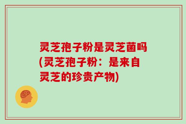 灵芝孢子粉是灵芝菌吗(灵芝孢子粉:是来自灵芝的珍贵产物)