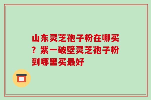 山东灵芝孢子粉在哪买？紫一破壁灵芝孢子粉到哪里买最好