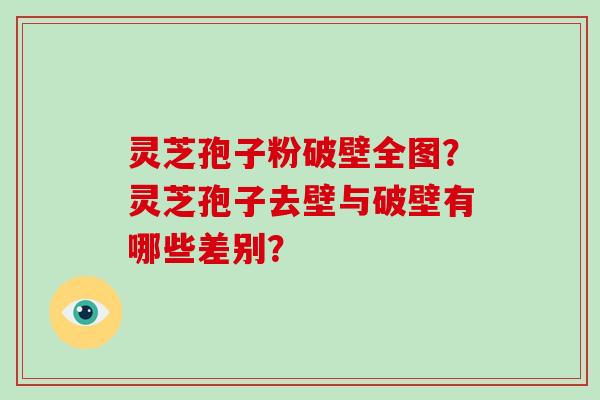 灵芝孢子粉破壁全图?灵芝孢子去壁与破壁有哪些差别?