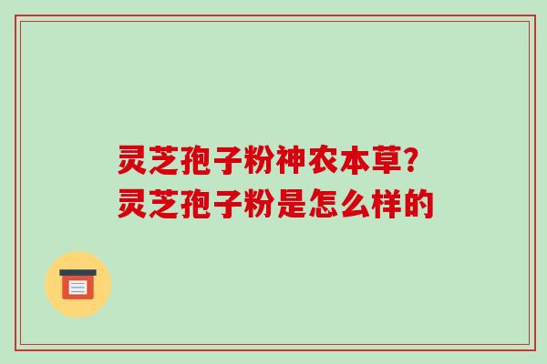 灵芝孢子粉神农本草？灵芝孢子粉是怎么样的