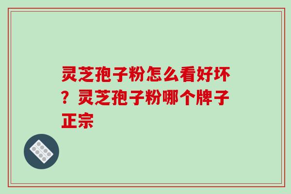 灵芝孢子粉怎么看好坏?灵芝孢子粉哪个牌子正宗