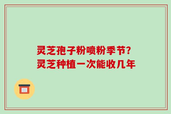 灵芝孢子粉喷粉季节？灵芝种植一次能收几年