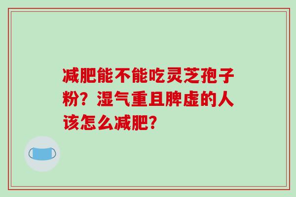 减肥能不能吃灵芝孢子粉?湿气重且脾虚的人该怎么减肥?