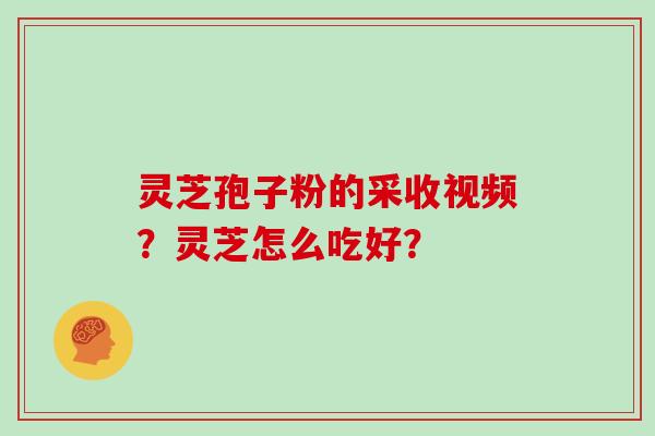 灵芝孢子粉的采收视频?灵芝怎么吃好?