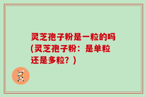灵芝孢子粉是一粒的吗(灵芝孢子粉:是单粒还是多粒?)