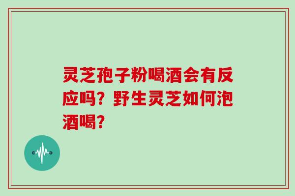 灵芝孢子粉喝酒会有反应吗?野生灵芝如何泡酒喝?