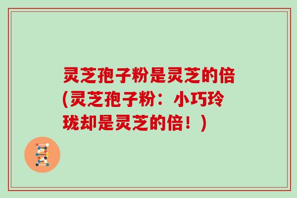 灵芝孢子粉是灵芝的倍(灵芝孢子粉:小巧玲珑却是灵芝的倍!)