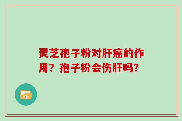 灵芝孢子粉对肝癌的作用？孢子粉会伤肝吗？