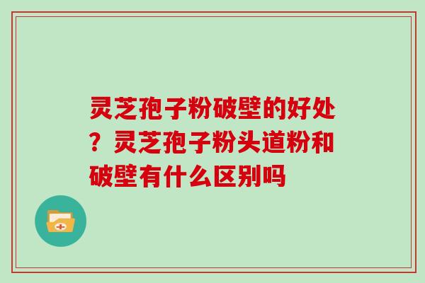 灵芝孢子粉破壁的好处?灵芝孢子粉头道粉和破壁有什么区别吗