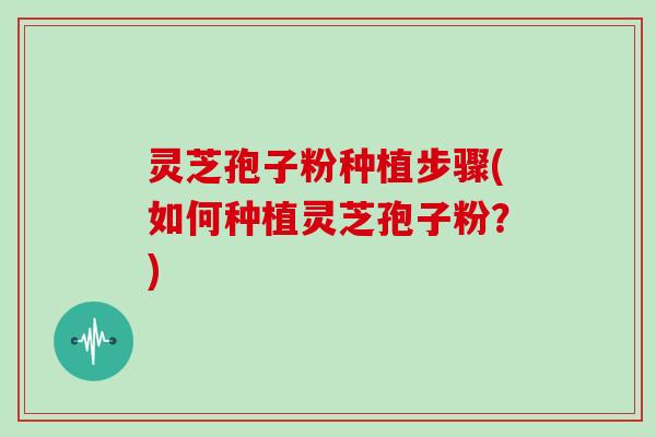 灵芝孢子粉种植步骤(如何种植灵芝孢子粉？)