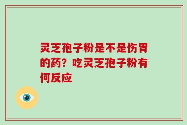 灵芝孢子粉是不是伤胃的药?吃灵芝孢子粉有何反应