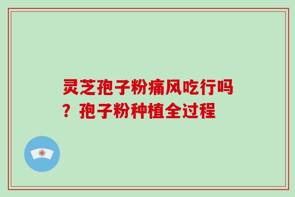 灵芝孢子粉痛风吃行吗？孢子粉种植全过程