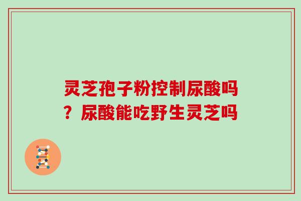 灵芝孢子粉控制尿酸吗？尿酸能吃野生灵芝吗