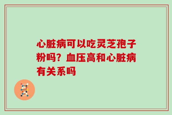 心脏病可以吃灵芝孢子粉吗?血压高和心脏病有关系吗