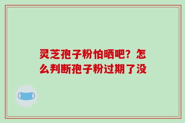 灵芝孢子粉怕晒吧?怎么判断孢子粉过期了没