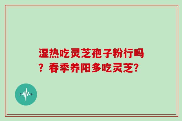 湿热吃灵芝孢子粉行吗?春季养阳多吃灵芝?