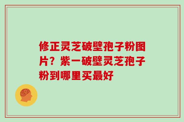 修正灵芝破壁孢子粉图片？紫一破壁灵芝孢子粉到哪里买最好