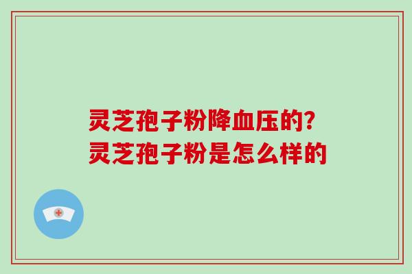 灵芝孢子粉降血压的?灵芝孢子粉是怎么样的