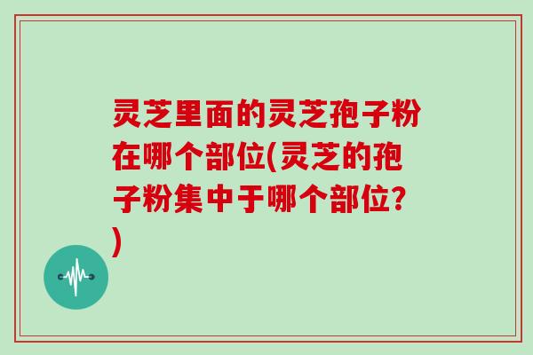 灵芝里面的灵芝孢子粉在哪个部位(灵芝的孢子粉集中于哪个部位?)