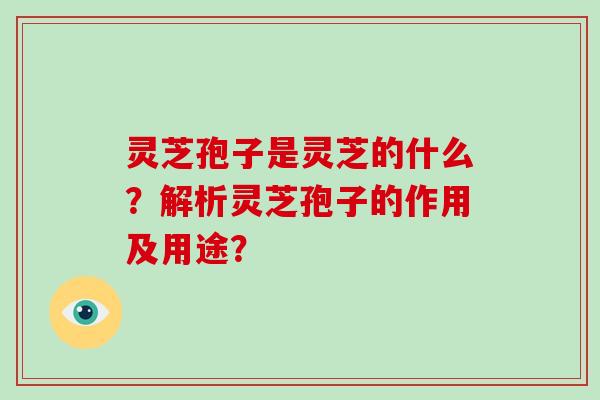 灵芝孢子是灵芝的什么?解析灵芝孢子的作用及用途?