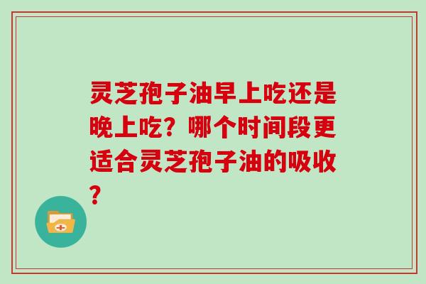 灵芝孢子油早上吃还是晚上吃?哪个时间段更适合灵芝孢子油的吸收?