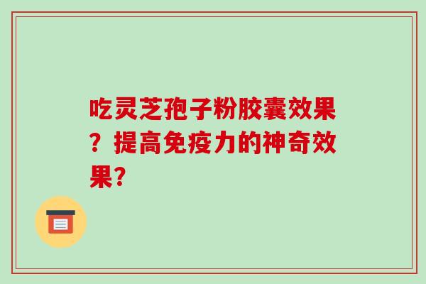 吃灵芝孢子粉胶囊效果?提高免疫力的神奇效果?