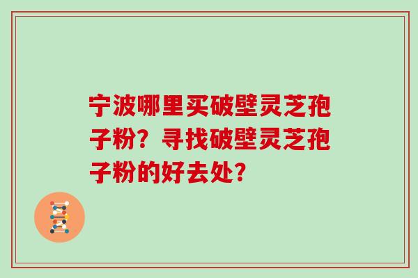 宁波哪里买破壁灵芝孢子粉?寻找破壁灵芝孢子粉的好去处?