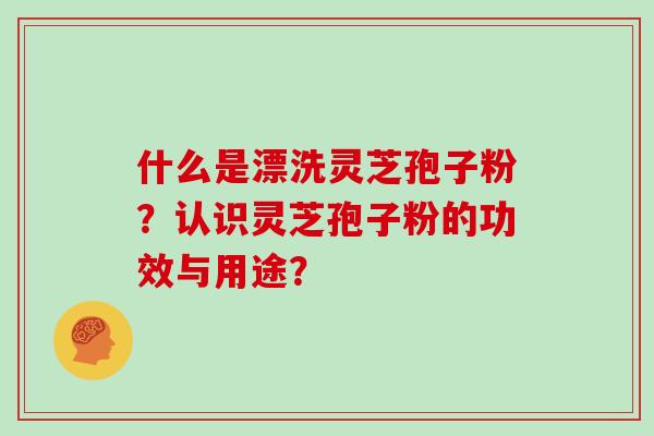 什么是漂洗灵芝孢子粉?认识灵芝孢子粉的功效与用途?