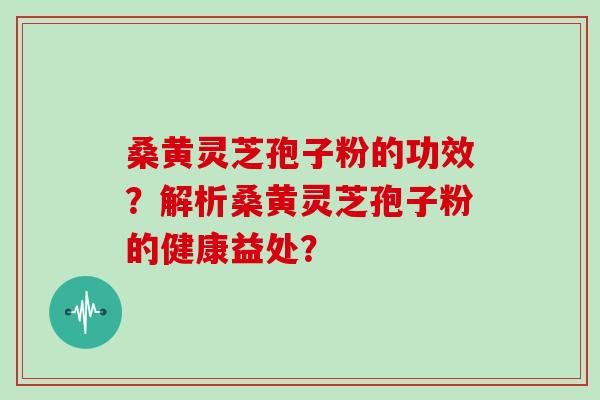 桑黄灵芝孢子粉的功效?解析桑黄灵芝孢子粉的健康益处?
