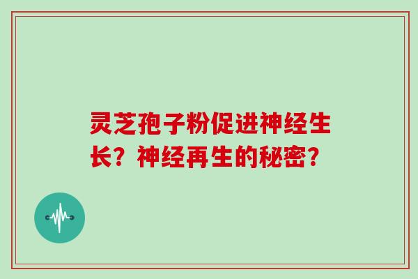 灵芝孢子粉促进神经生长?神经再生的秘密?