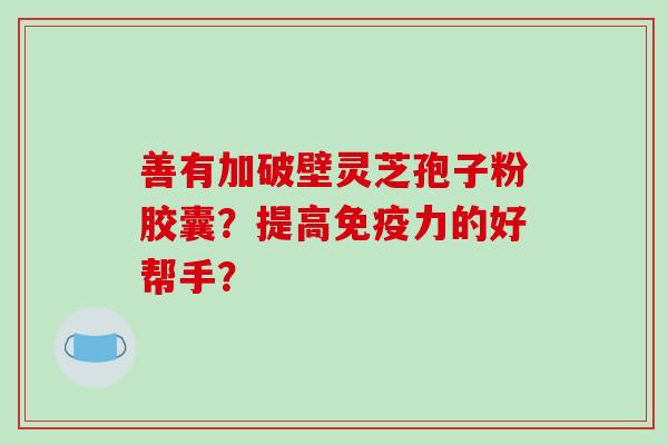 善有加破壁灵芝孢子粉胶囊?提高免疫力的好帮手?