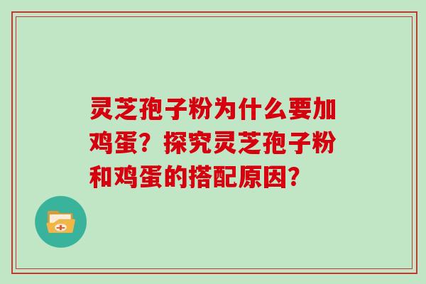灵芝孢子粉为什么要加鸡蛋？探究灵芝孢子粉和鸡蛋的搭配原因？