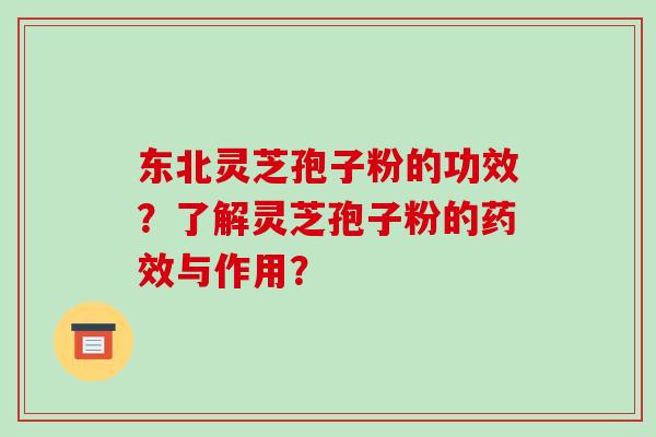 东北灵芝孢子粉的功效?了解灵芝孢子粉的药效与作用?