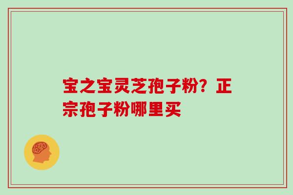 宝之宝灵芝孢子粉？正宗孢子粉哪里买